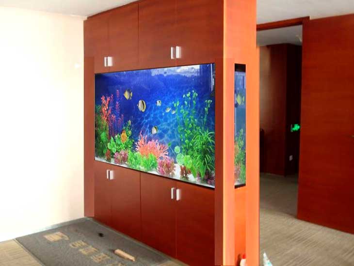 昆明搬家搬運魚缸需要注意的事項有哪些？