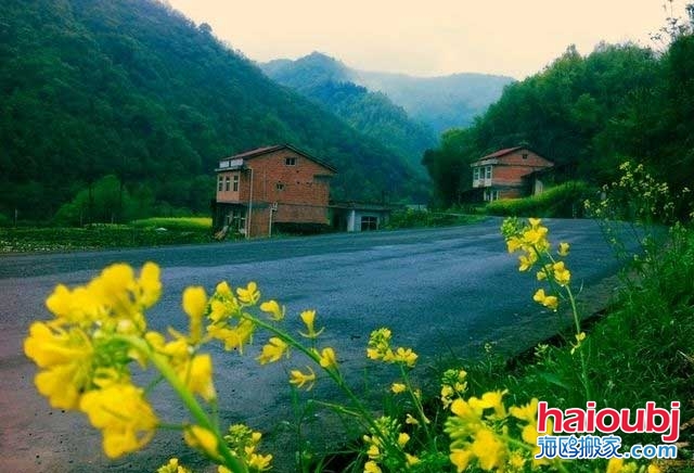 多虧鄉(xiāng)下婆婆來(lái)照顧兒媳，才知道家具甲醛超標(biāo)兒子決定搬家啦.jpg